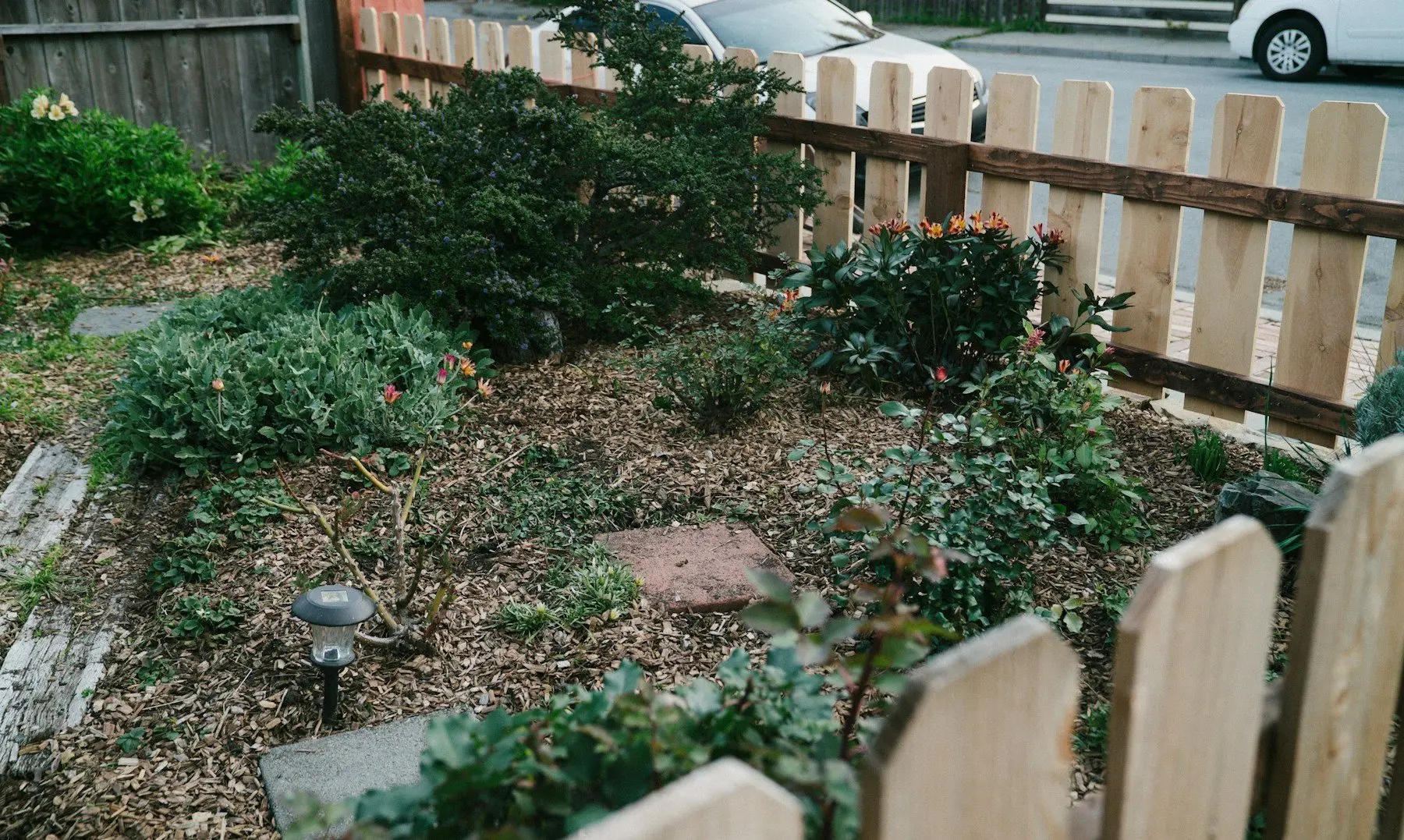 Un massif tout juste planté et paillé de copeaux de bois, derrière une clôture en planches claires