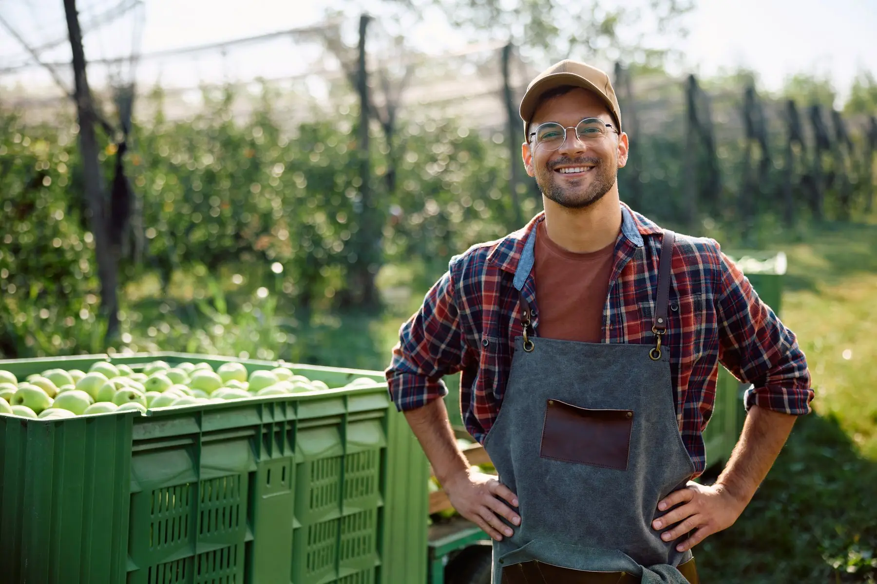 Producteur souriant en tablier, mains sur les hanches, devant des caisses de pommes dans un verger