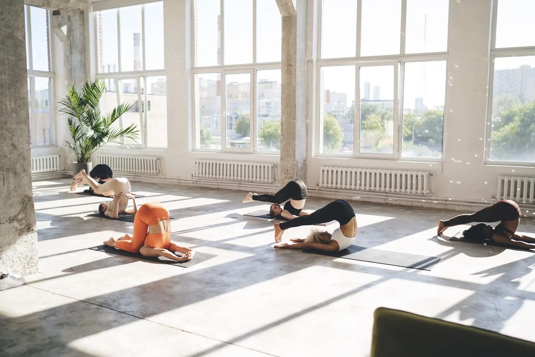 Cours de yoga dans une grande salle aux baies vitrées : cinq élèves en posture de la charrue sur leurs tapis, au soleil