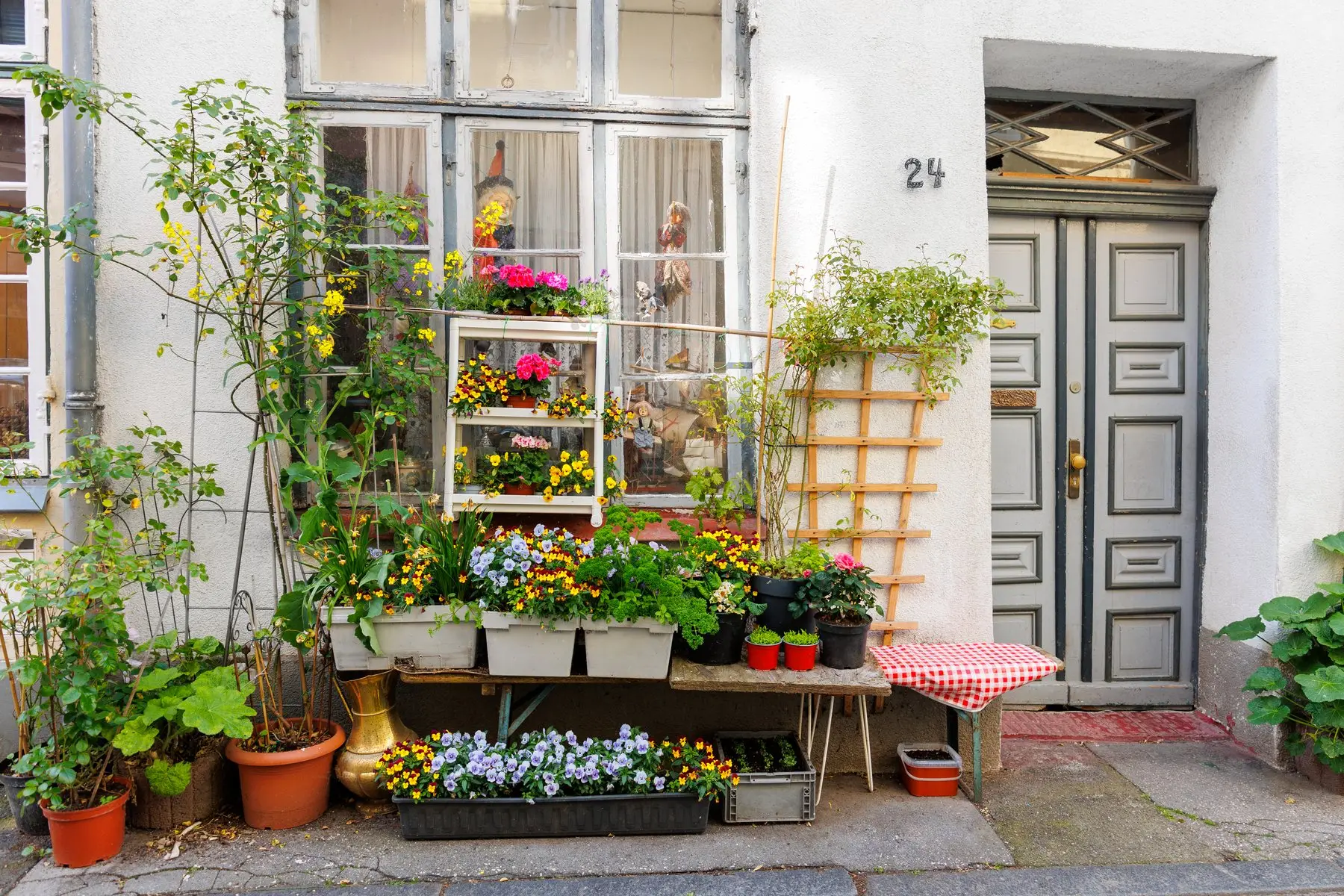 Une devanture de maison ancienne garnie de fleurs et de plantes en pots, prête pour la saison