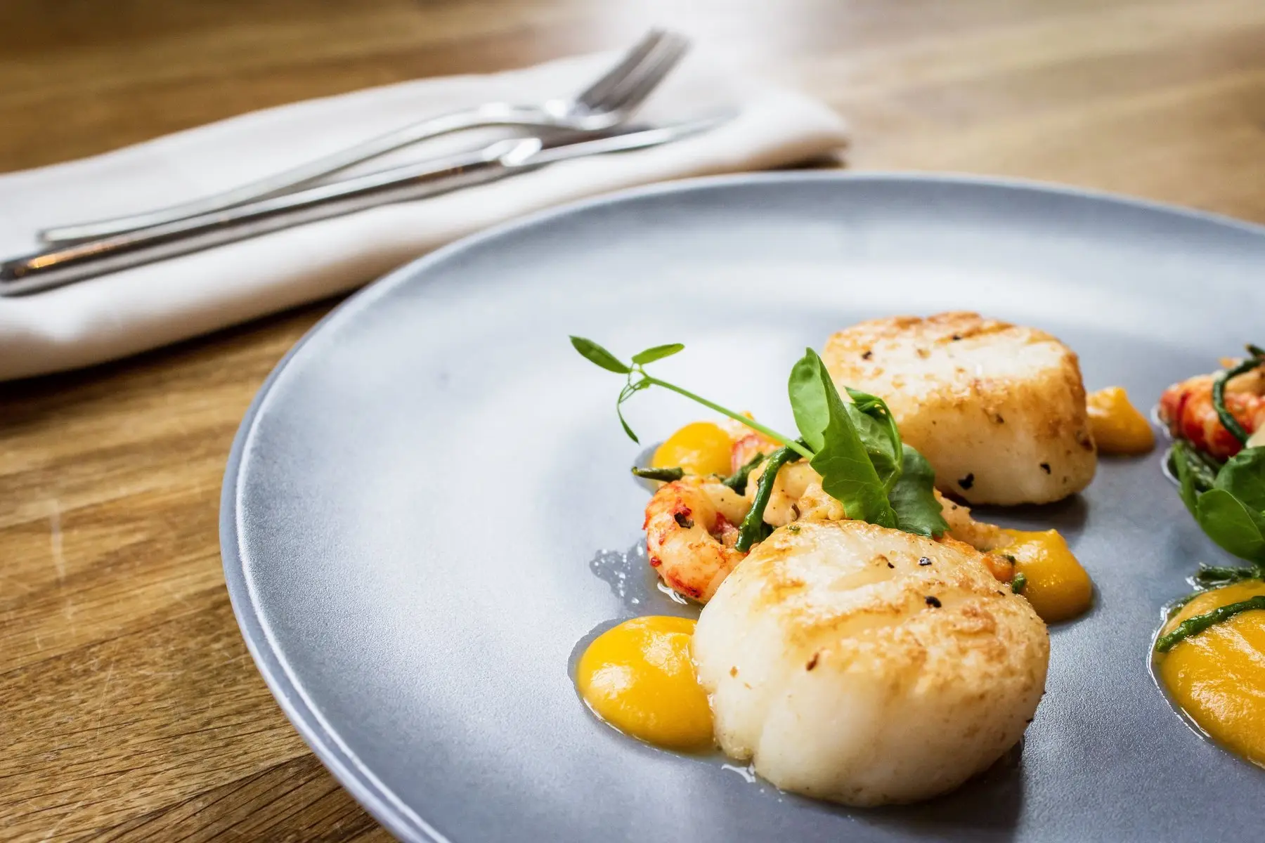 Une assiette de coquilles Saint-Jacques dressée avec soin dans un restaurant