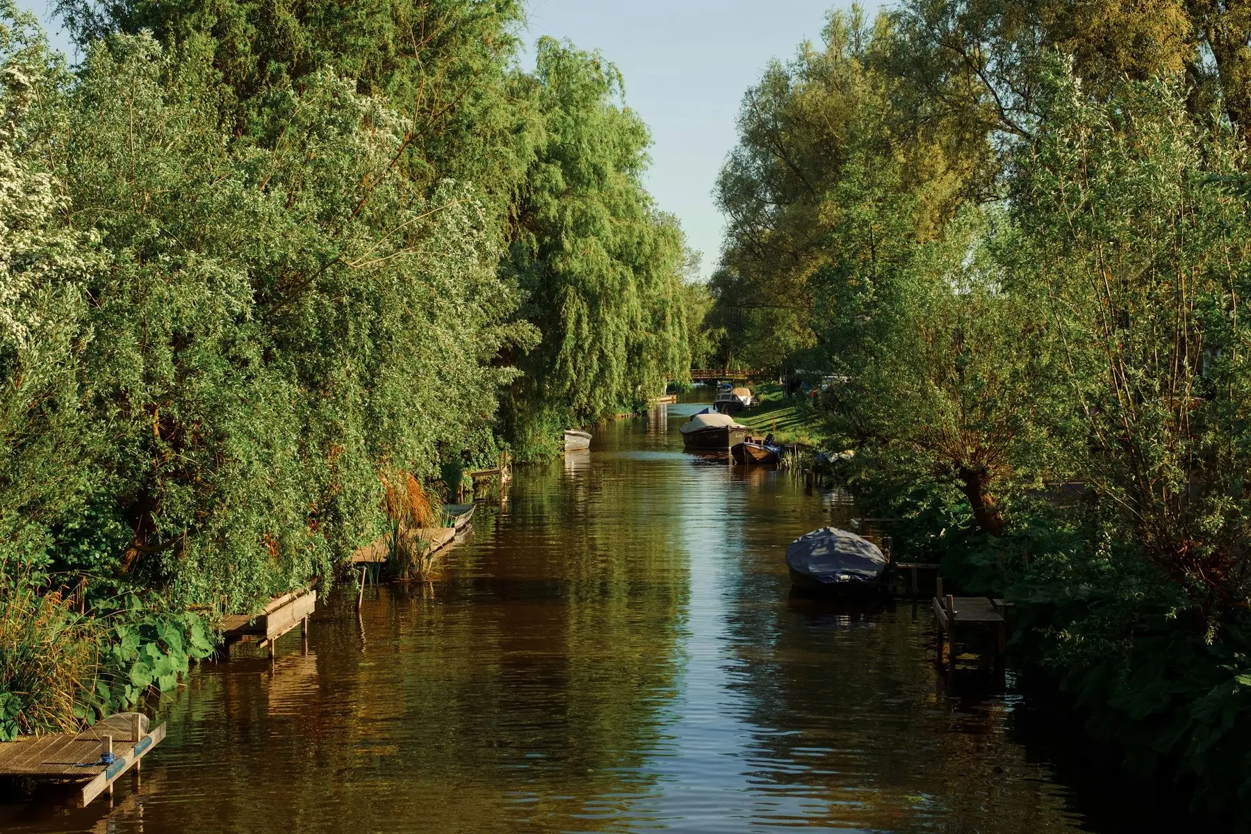 Une rivière bordée d’arbres et de pontons